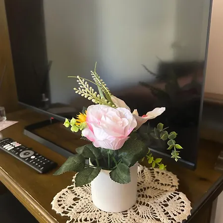 Apartahotel Residenza Delle Rose Viggianello